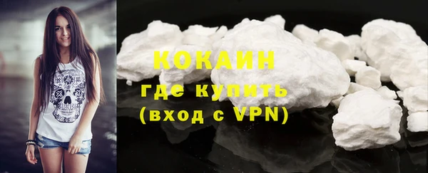 спайс Пересвет