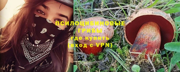 шишки Абдулино