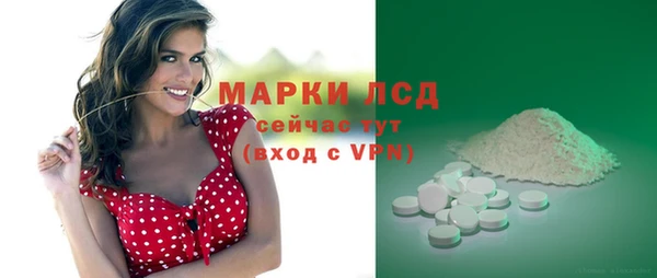 спайс Пересвет