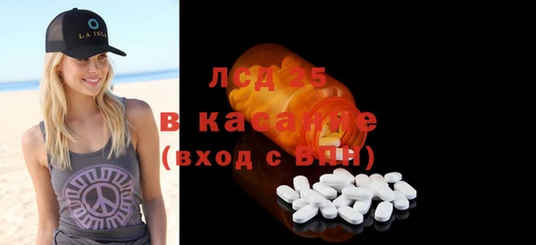 спайс Пересвет