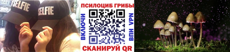 гидра   Новотроицк  Галлюциногенные грибы мицелий 