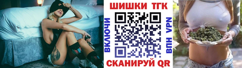 где купить наркотик Новотроицк Шишки марихуана Amnesia